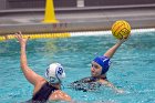 WWPolo vs CC  Wheaton College Women’s Water Polo vs Connecticut College. - Photo By: KEITH NORDSTROM : Wheaton, water polo